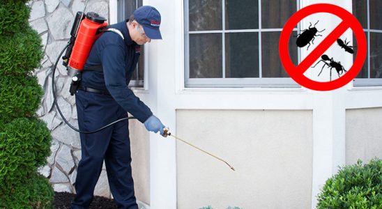 Avcılar Hamam Böceği İlaçlama böcek ilaçlama ve haşere kontrolü — ilaclama-tr.com